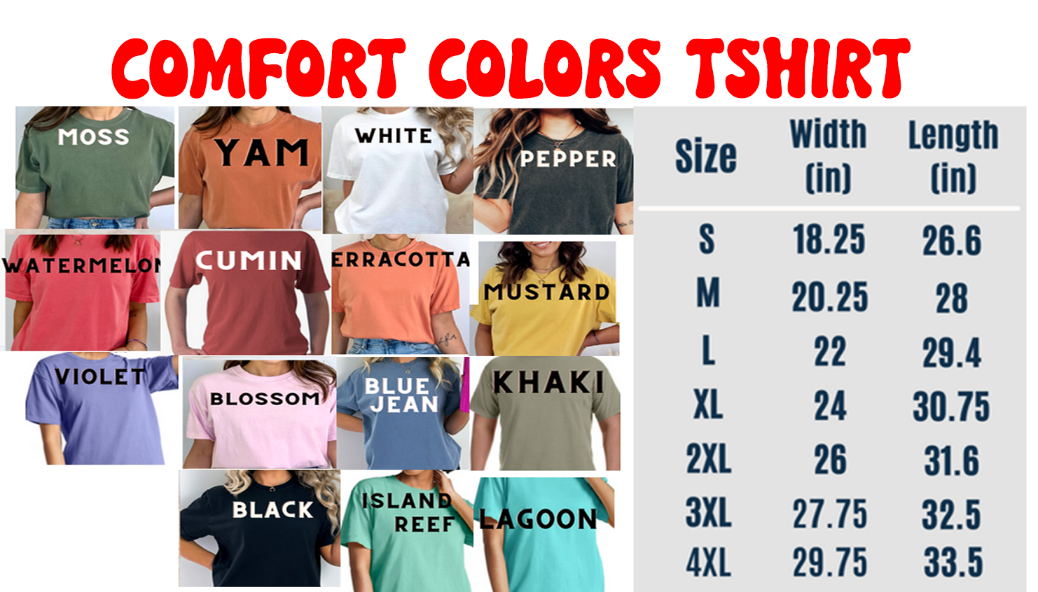 THIS IS MY PRIDE FLAG T-SHIRT STYLE 2 UNISEX